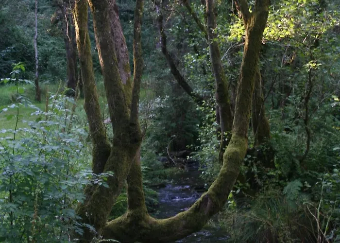 Completa Rio Sarela Εξοχικό σπίτι *